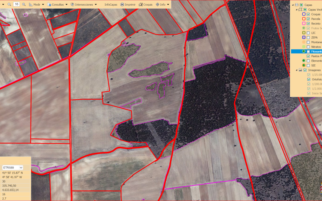 Mapeo y Caracterización de Suelos: La Clave para el Éxito en la Agricultura